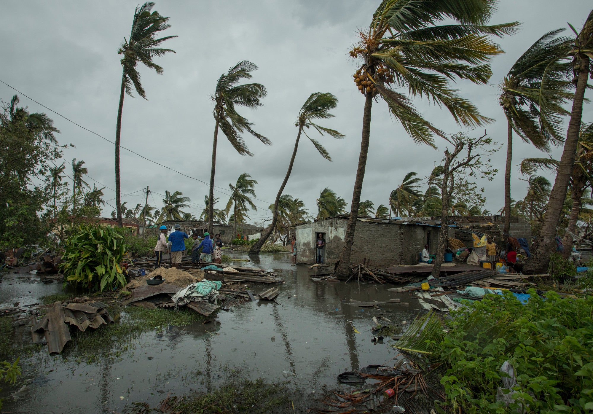 The devastating effects of Cyclone Idai, a category 4 cyclone that hit Malawi, Mozambique and Zimbabwe two weeks ago, are still being felt. In the city of Beira, in central Mozambique, Idai knocked out power across the province. Photo: Josh Estey/CARE