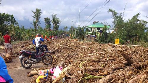 Dagami-Pastrana road in Leyte impassable after Hagupit. Photo: ACCORD