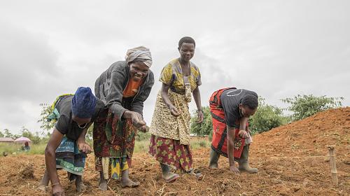 Women account for nearly half of all agricultural labor in developing countries and work as much as 13 hours more per week than men, often without training, proper tools, like seeds and fertilizers, and rights to their land. Credit: Timothy Buckley/CARE