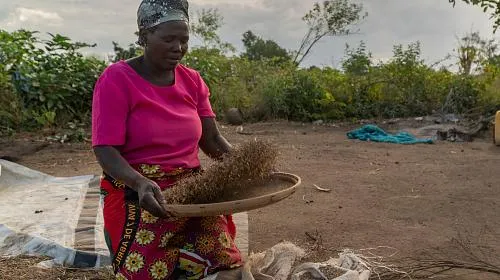 Eliza Machunga, Mozambique. Sus cultivos fueron destruidos en el ciclón Idai como muchos agricultores.