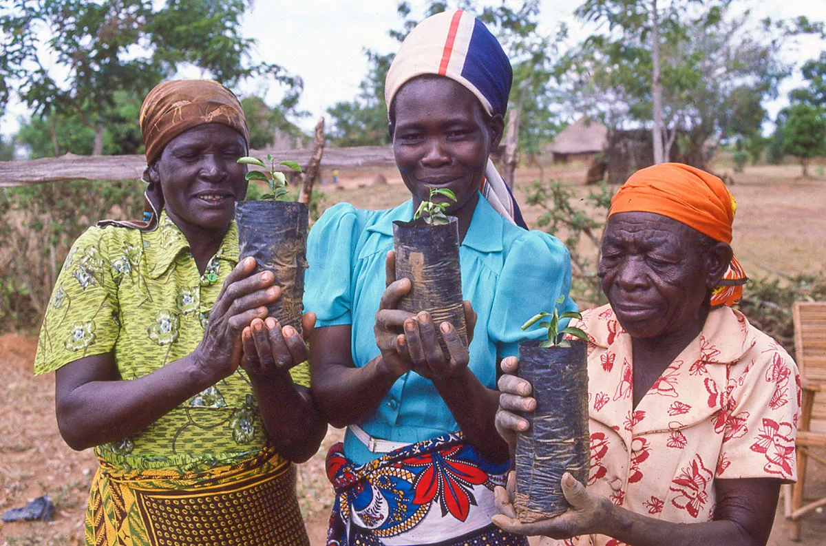 Three Kenyan women wearing green, blue, and orange hold up young plants.