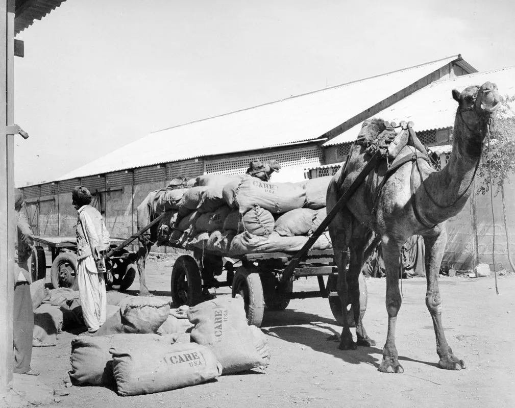 A cart pulled by a camel is stopped at a building. Beside the cart are multiple large food bags labeled, 