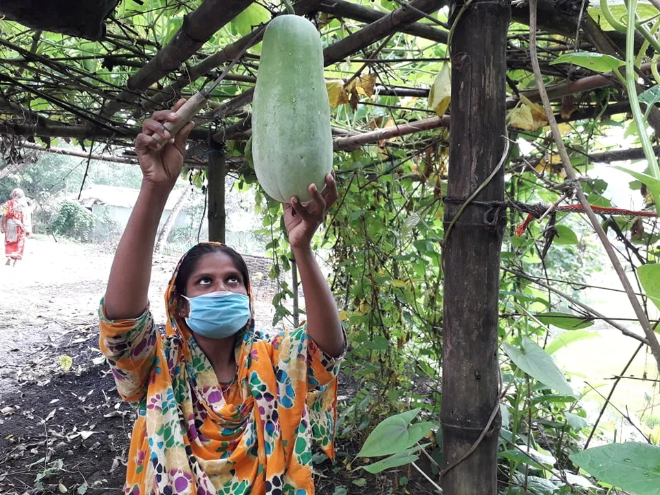 A woman in a face mask holds a knife while cutting a vegetable from a vine.