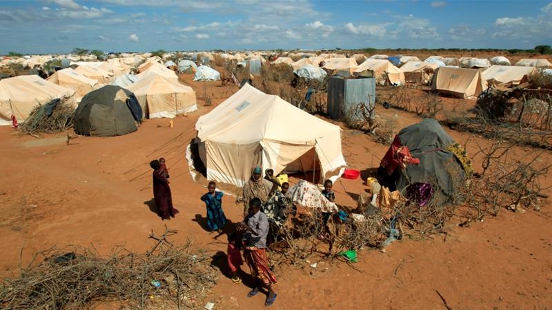 The Dadaab camp in eastern Kenya is home to 217,000 people [File: Thomas Mukoya/Reuters]