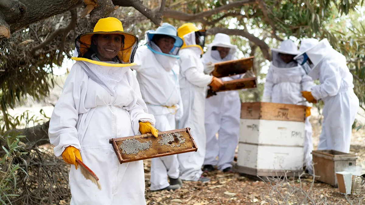 A woman wearing a white beekeeping outfit holds a comb. Behind her, more beekeepers wearing suits stand around the beehive.