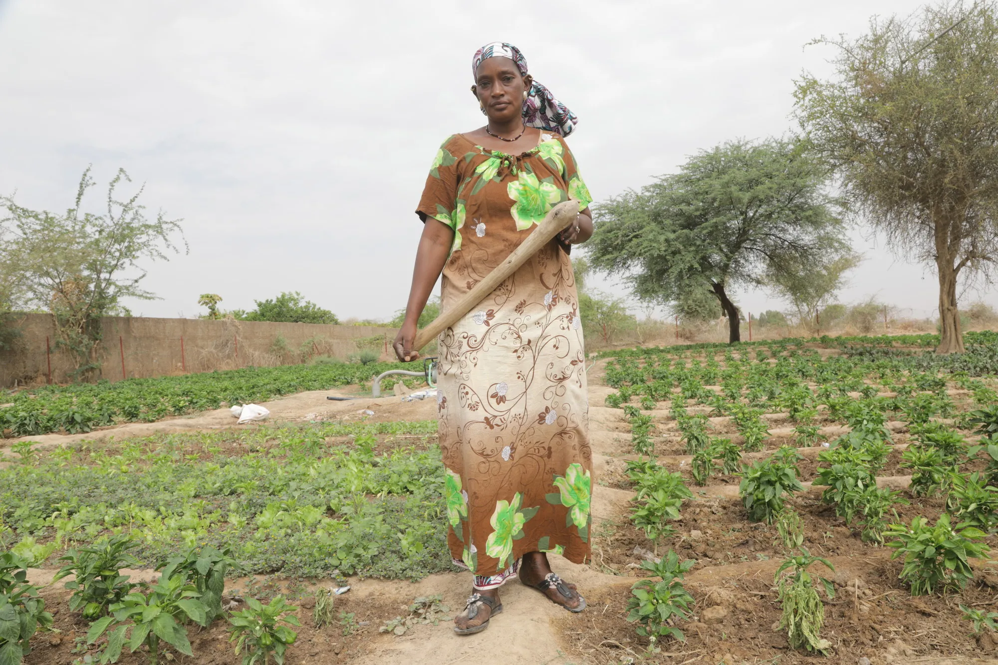 Une femme se tient dans un champ avec un outil agricole.