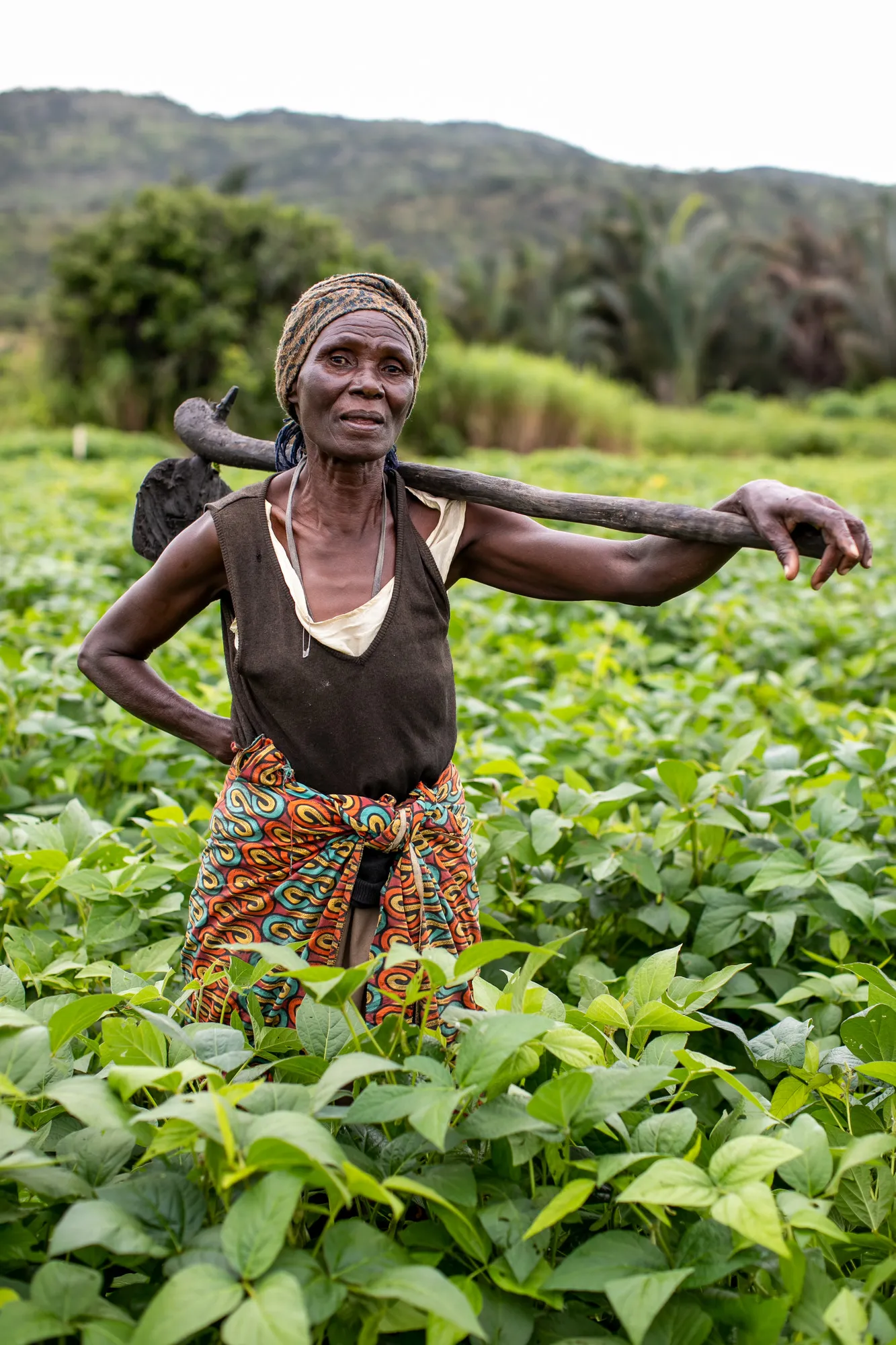 A woman stands in a field of plans with a hoe on her shoulder.
