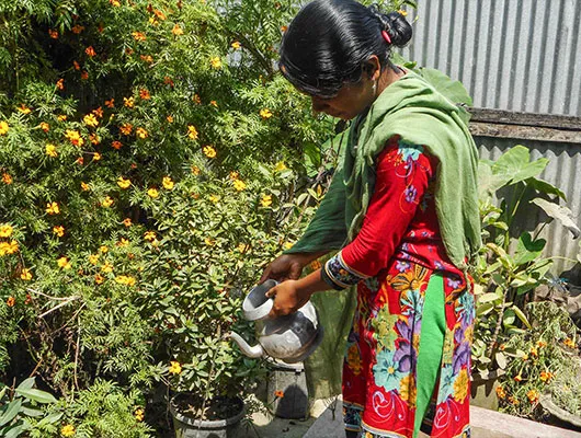 A lady wearing a red dress and a green scarf is watering a garden of flowers.