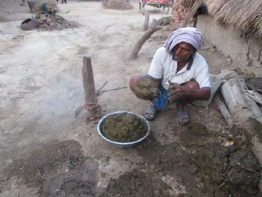 A man with a white shirt and clothing on his head is making cow dung patties.