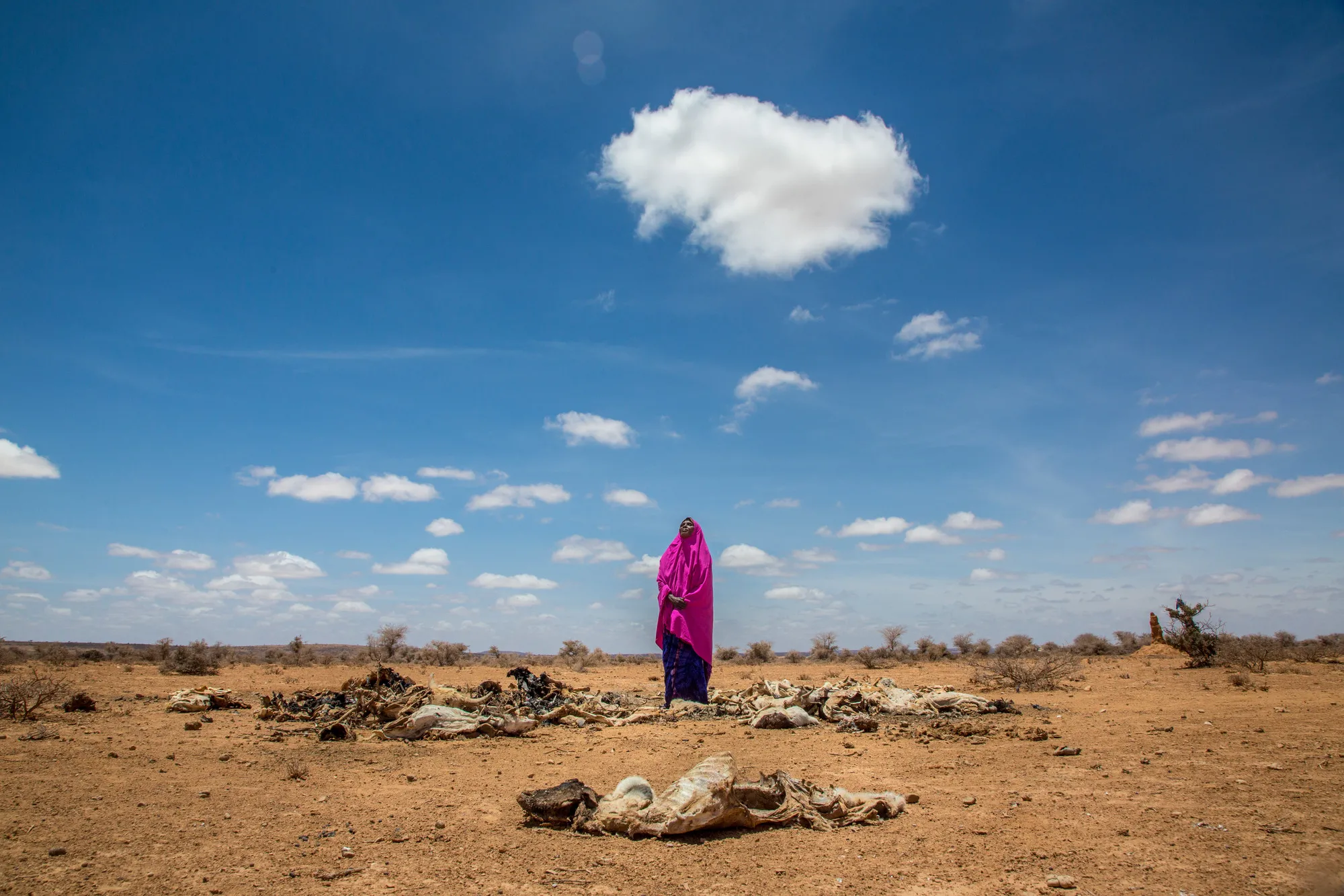 A woman stands in a dry field.