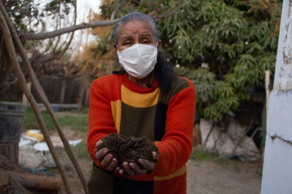 Una mujer peruana sostiene tierra en sus manos ahuecadas. Lleva un suéter rojo, dorado y negro brillante y una máscara blanca.