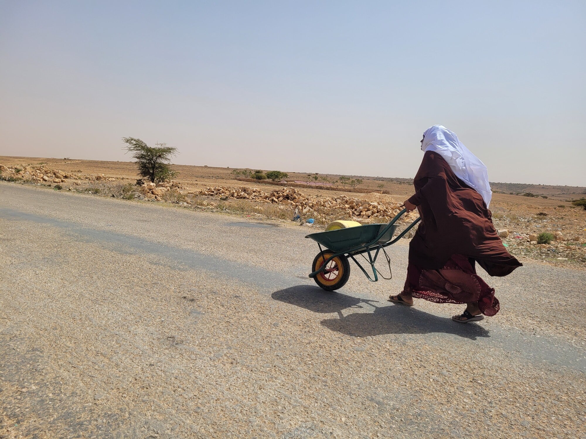 Woman pushes wheelbarrow down a road