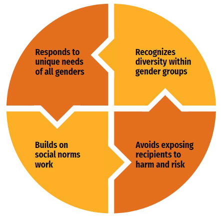 Four parts of a circle, with each part housing a different sentence. The 4 sections read, 1) Responds to unique needs of all genders, 2) Recognizes diversity within gender groups, 3) Avoids exposing recipients to harm and risk, and 4) Builds on social norms work