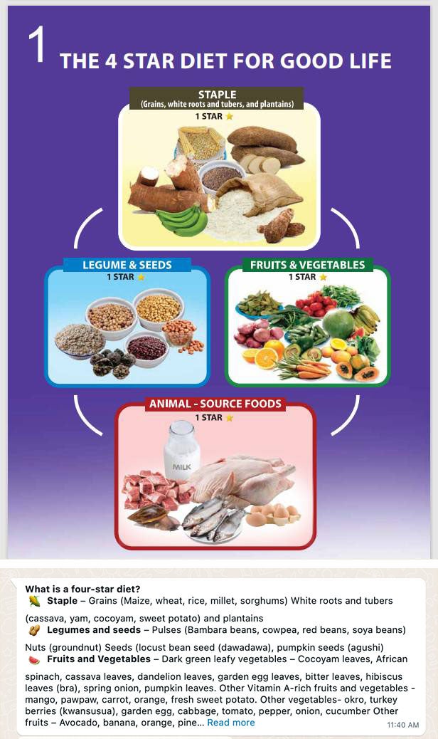 Imagen de un chat de WhatsApp que muestra que la dieta 4 estrellas se compone de Básicos (granos, tubérculos y plátanos), legumbres y semillas, frutas y verduras y alimentos de origen animal.