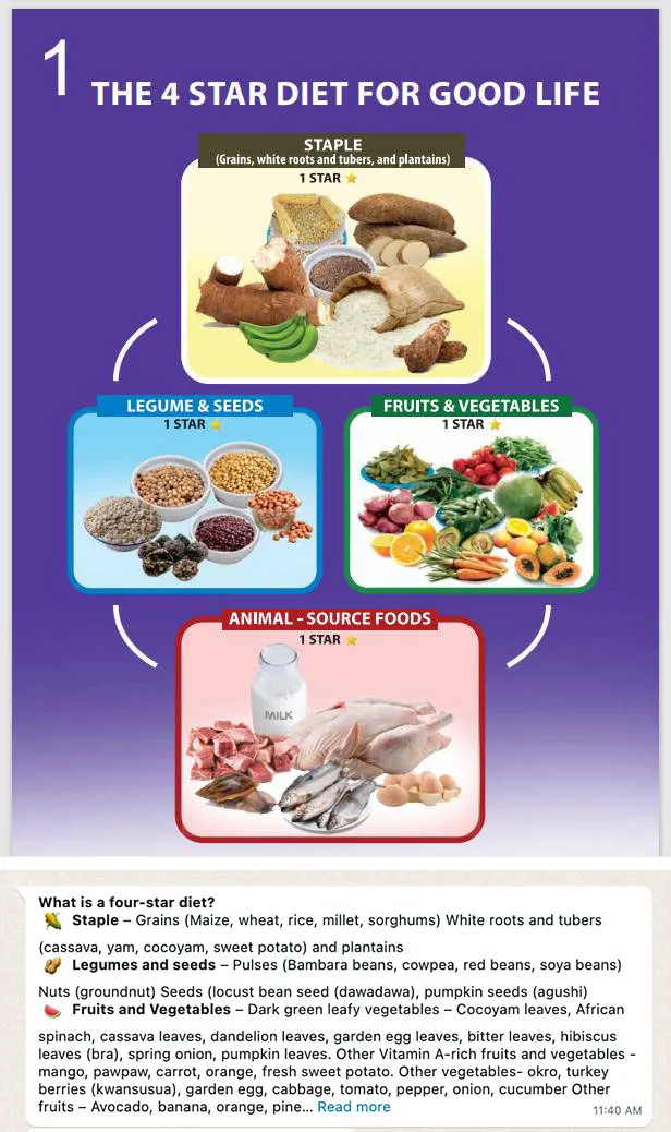 Imagen de un chat de WhatsApp que muestra que la dieta 4 estrellas se compone de Básicos (granos, tubérculos y plátanos), legumbres y semillas, frutas y verduras y alimentos de origen animal.