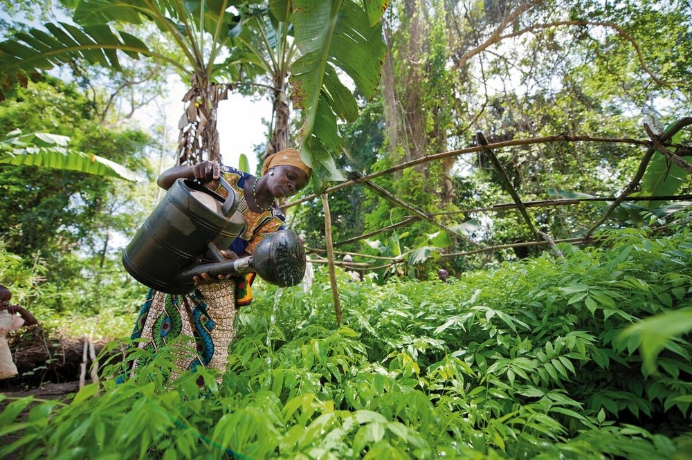 A woman uses a watering can to water plants in a farm in the forest. She is surrounded by lush, green foliage.