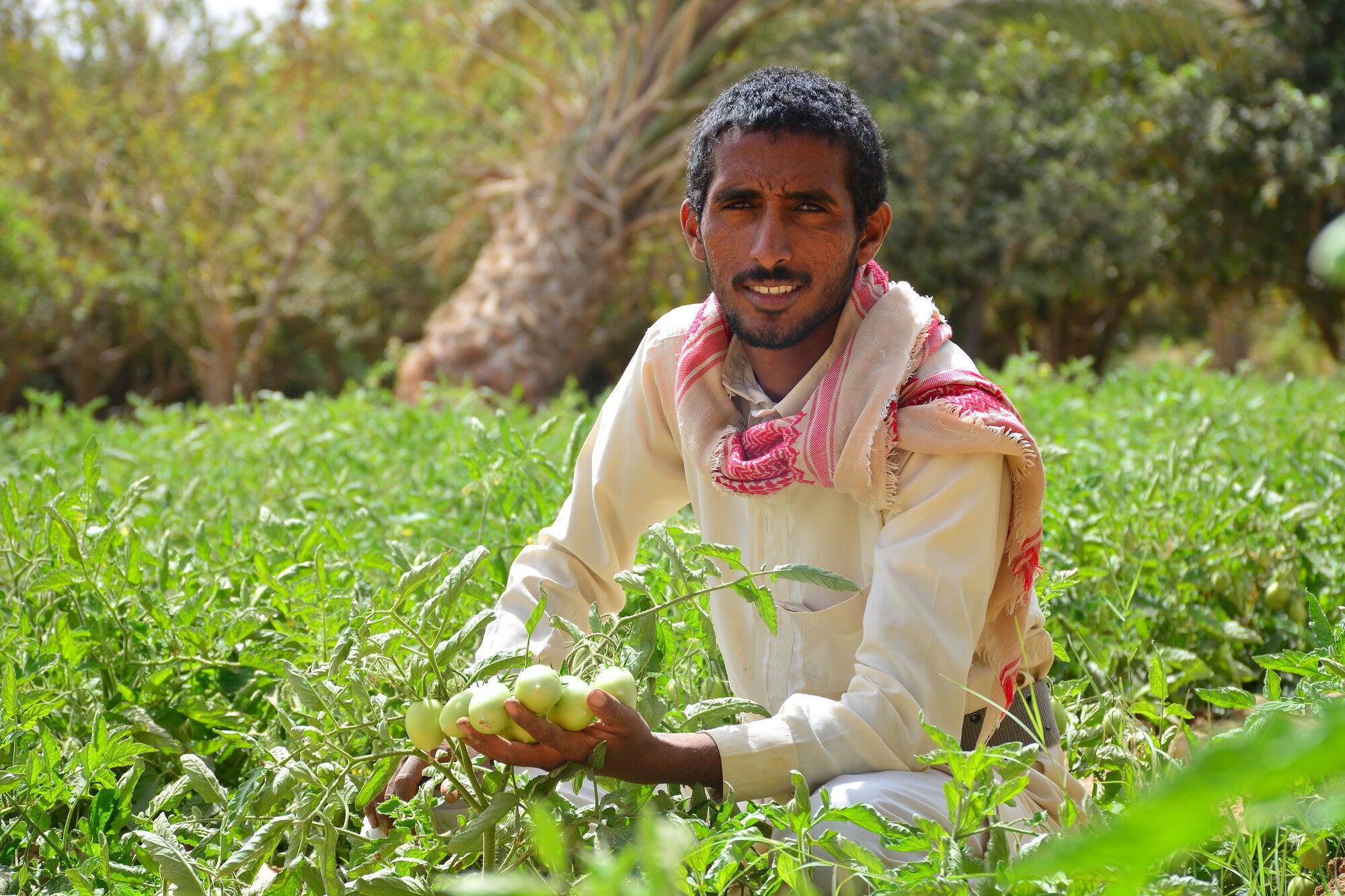 Portrait of a farmer kneeling in a field, holding crops.