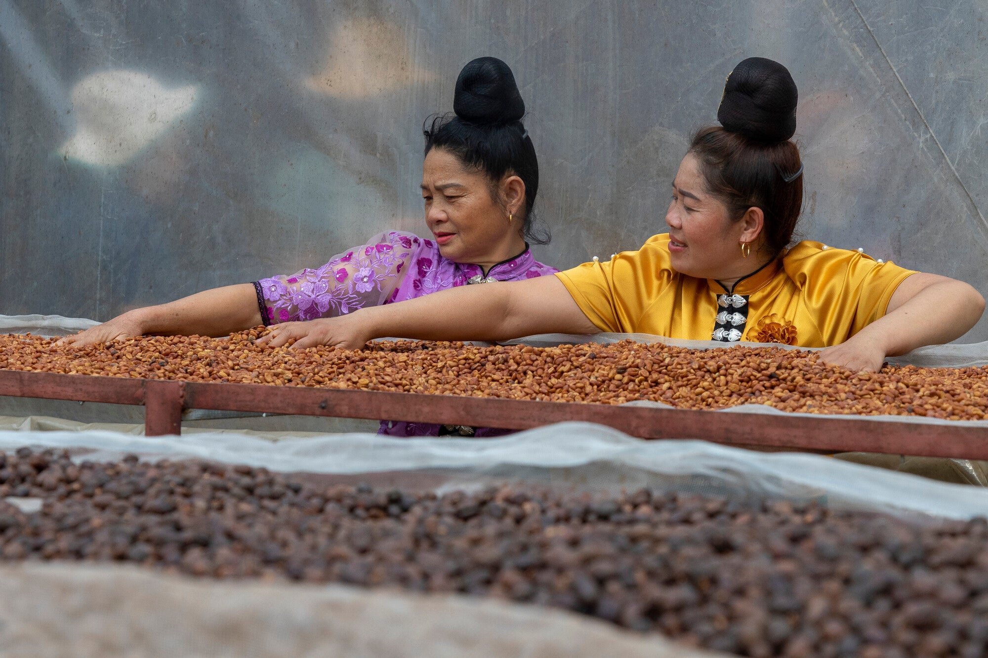 Two women in traditional dress and high hair buns spread beans on a flat surface