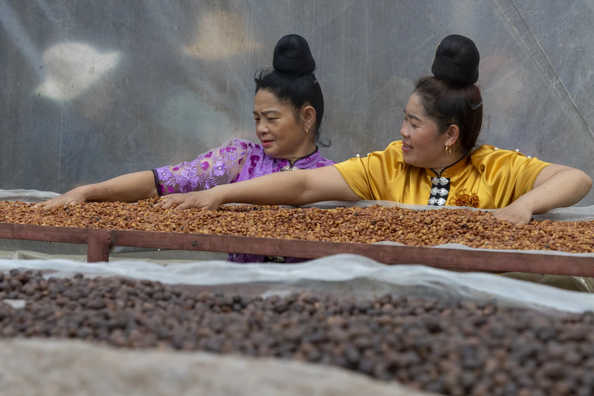 Two women in traditional dress and high hair buns spread beans on a flat surface