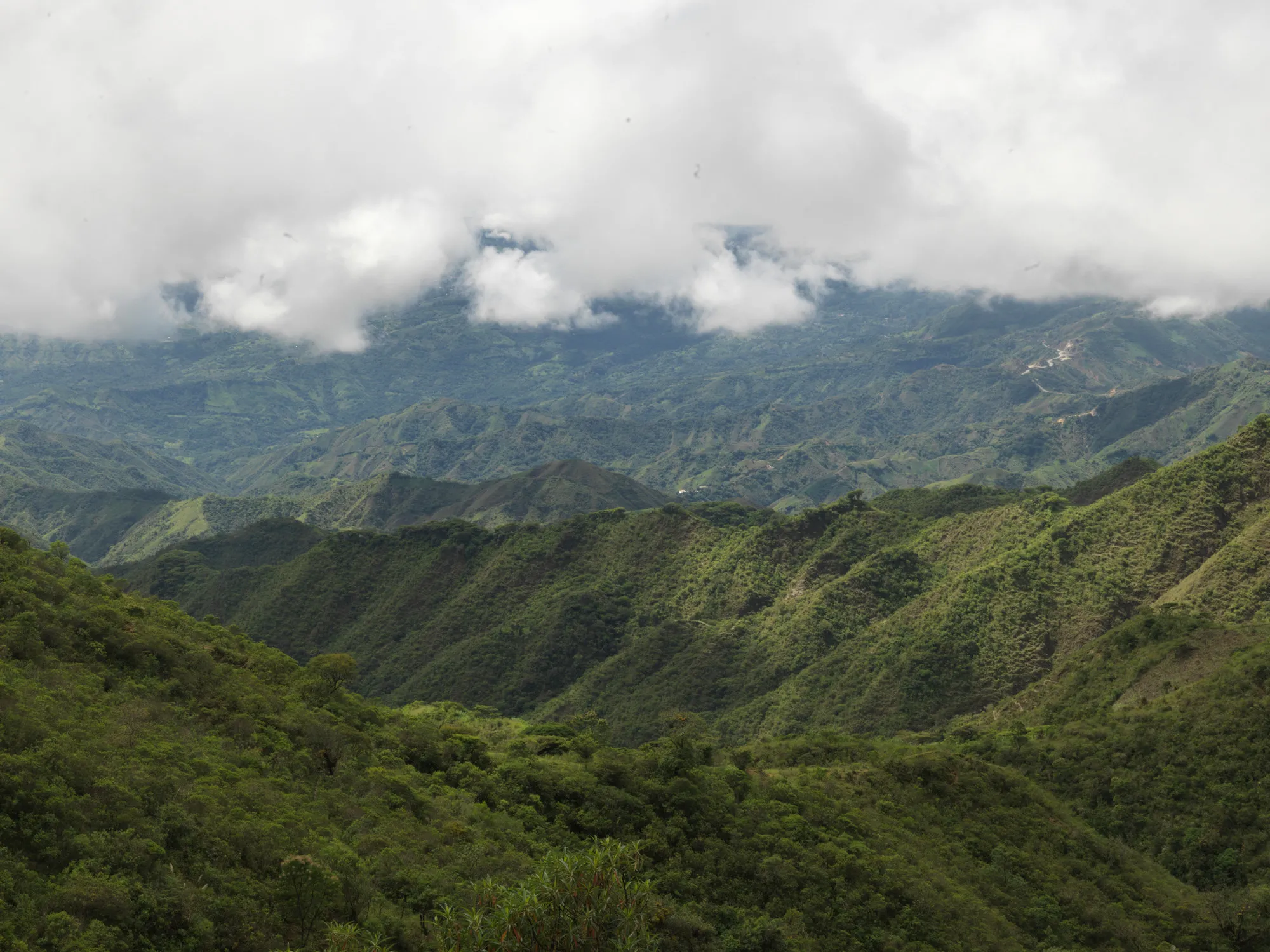 Scenic photo of mountains covered in green vegetation with clouds above