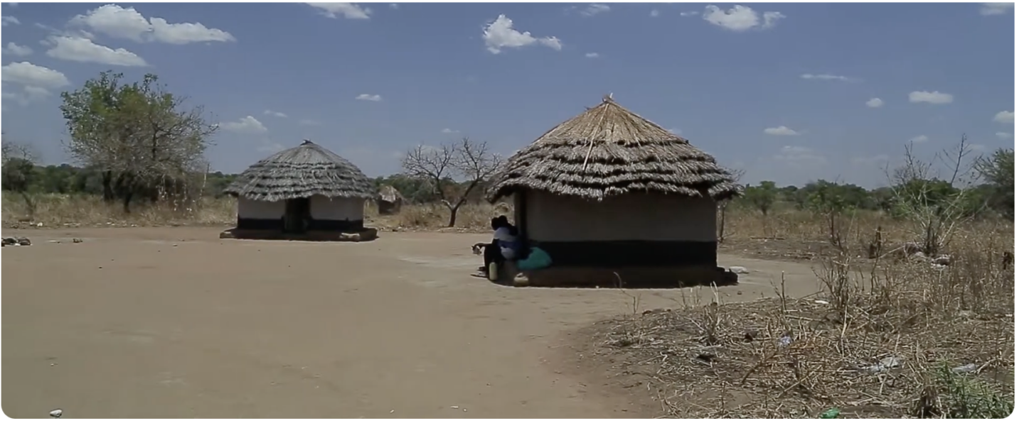 ‘I want the world to know’ Ugandan women sound the alarm on climate