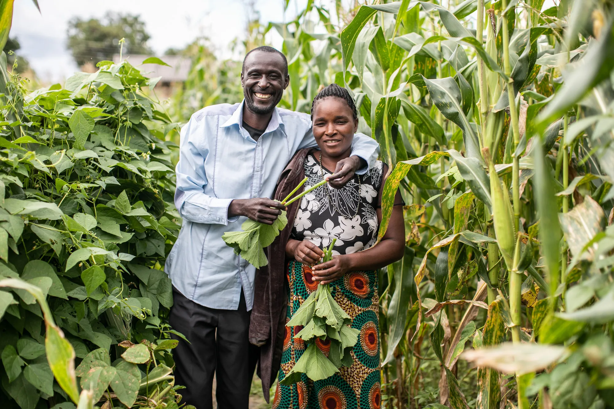 A man and woman smile while standing in a field full of tall crops