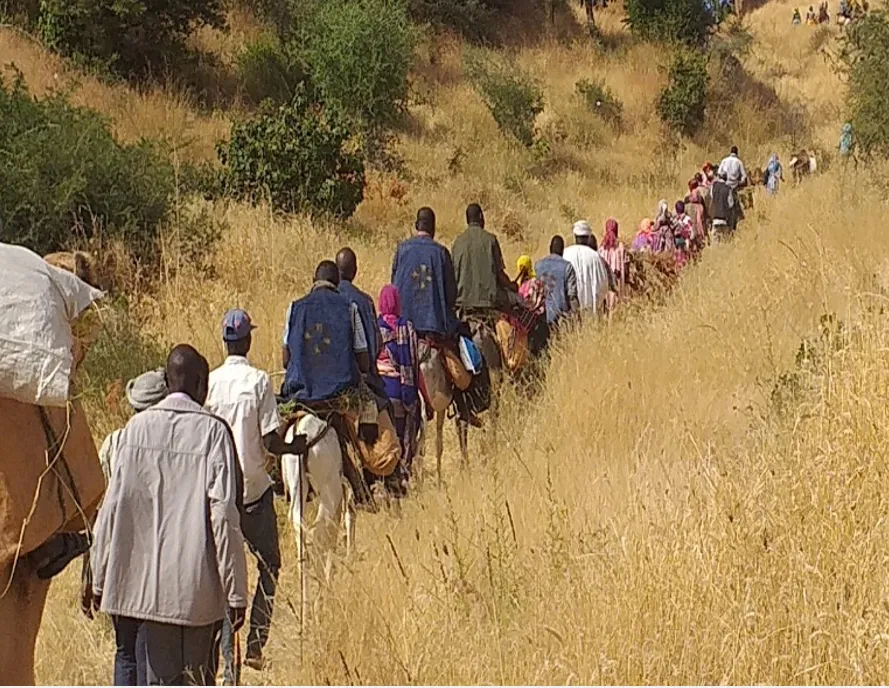 A long line of people walking and riding donkeys and camels in the countryside