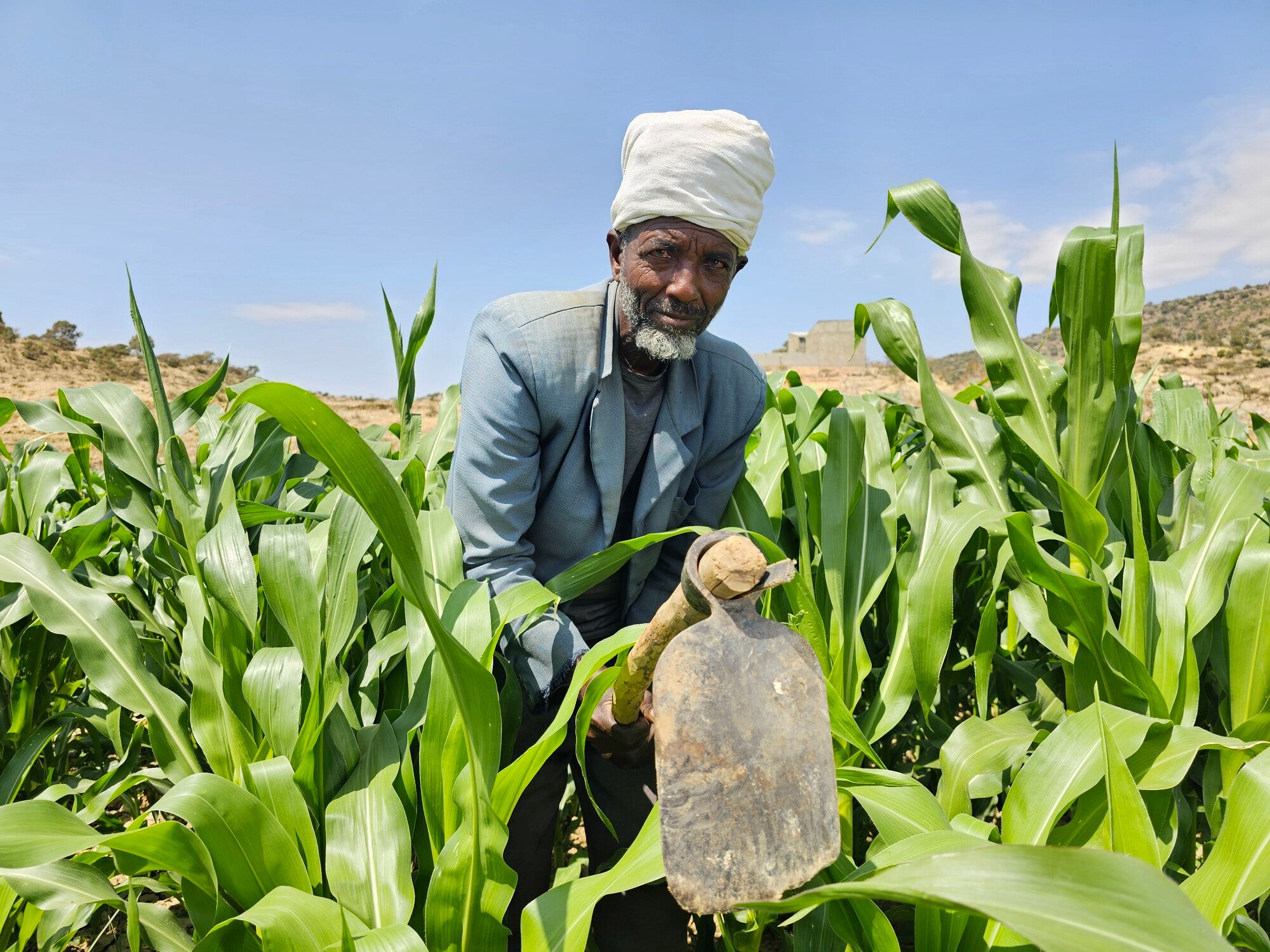 small-scale-farmers-in-ethiopia-face-conflict-and-drought