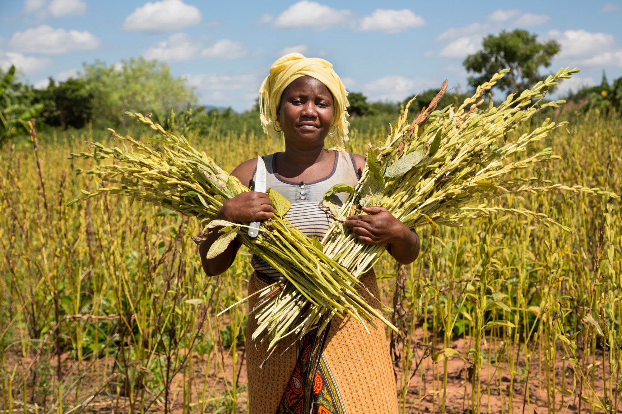 Joint NGO Statement on Farm Bill Proposal - Vimarsana News