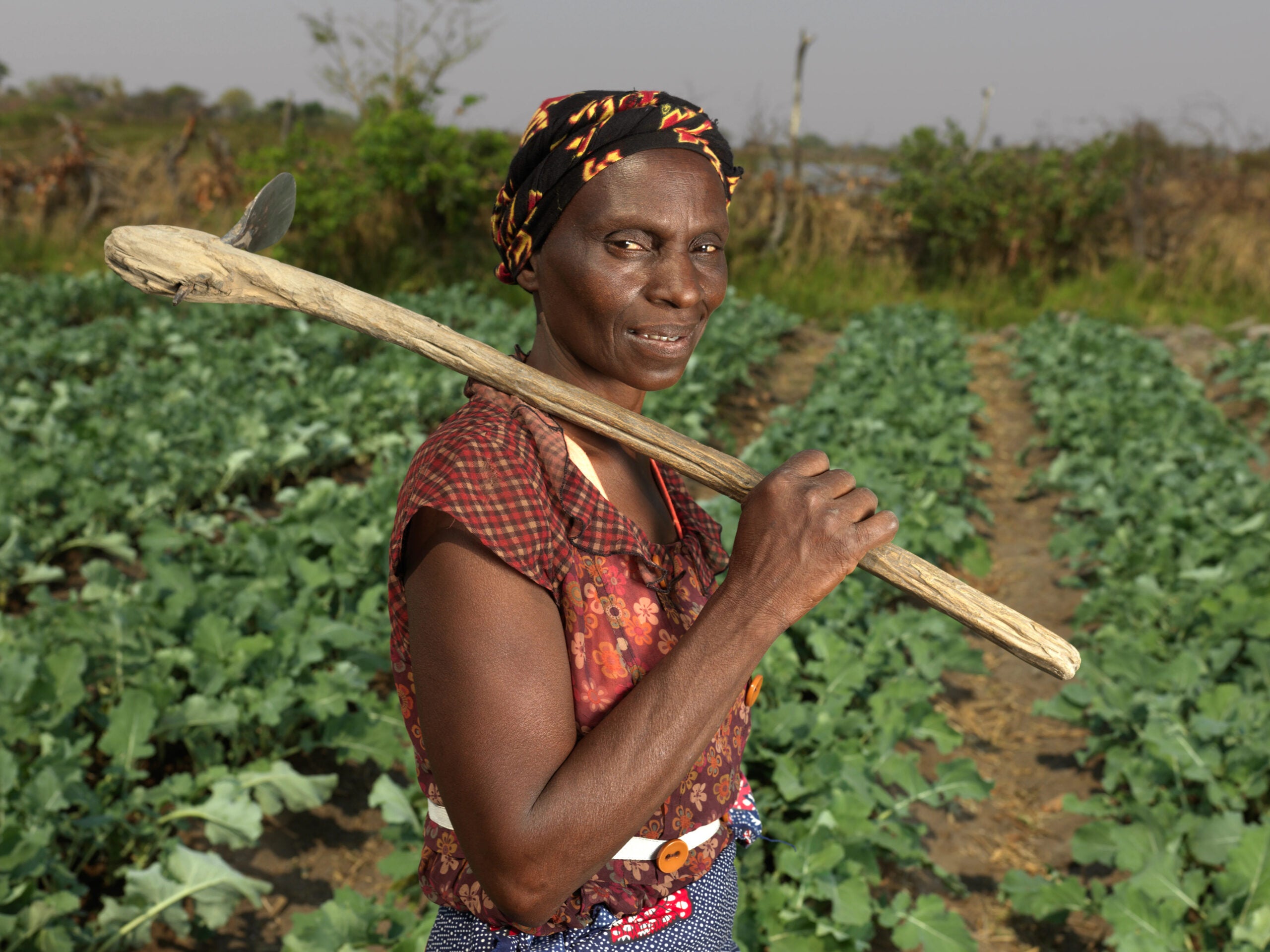 The hidden heroes of the climate crisis: How women are turning ...