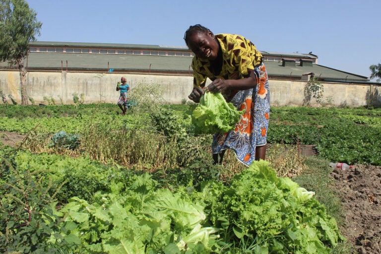 CARE's Humanitarian Work in Cameroon - CARE