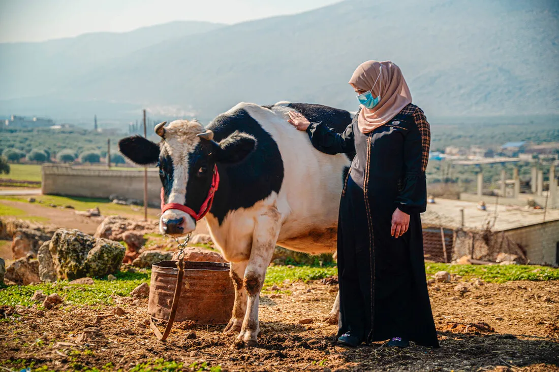 A Syrian woman wearing a face mask and a headscarf stands next to a black and white cow. She is gently petting the cow's back. In the background, there is a rural landscape with hills and scattered buildings.