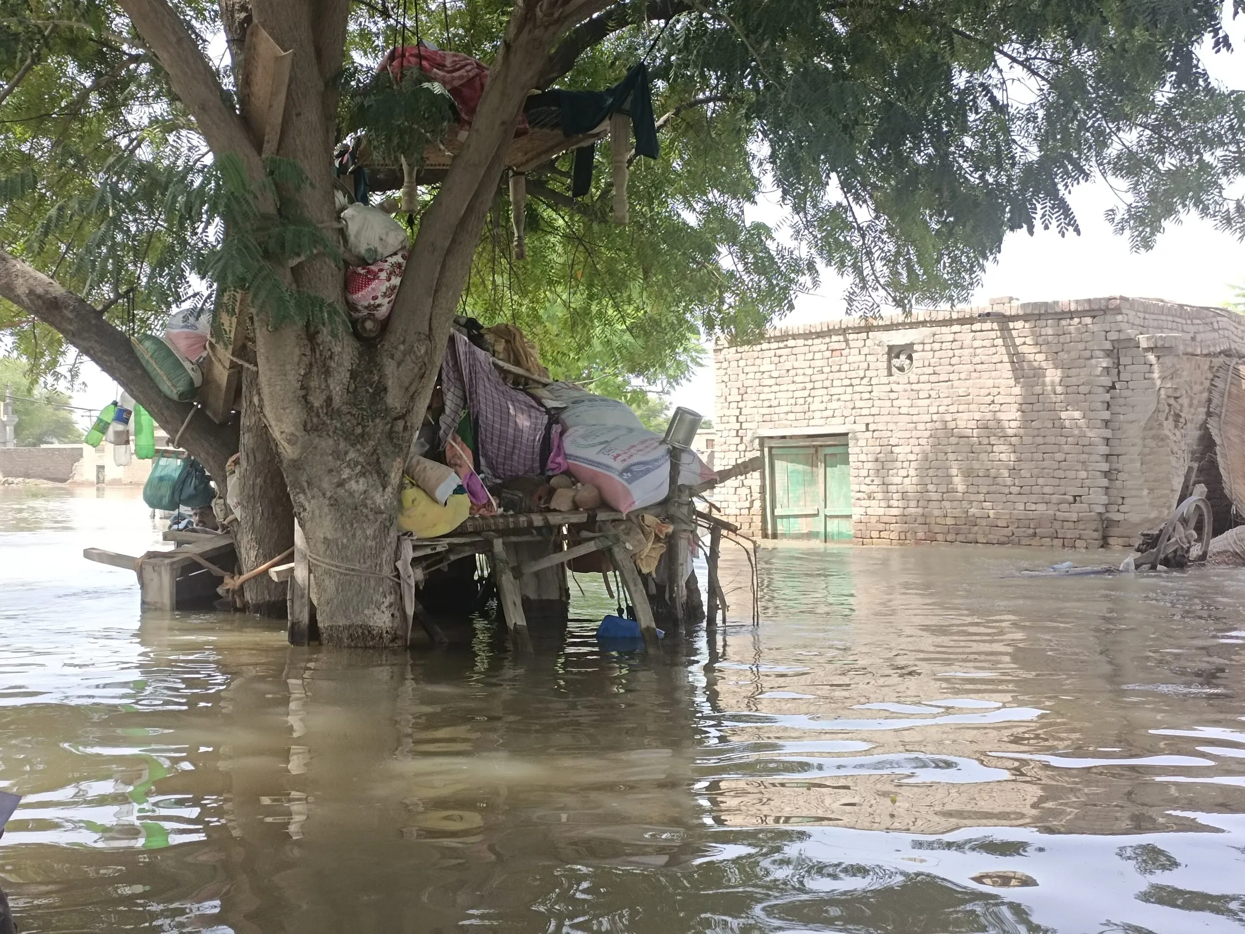 Personal belongings hanging from a tree