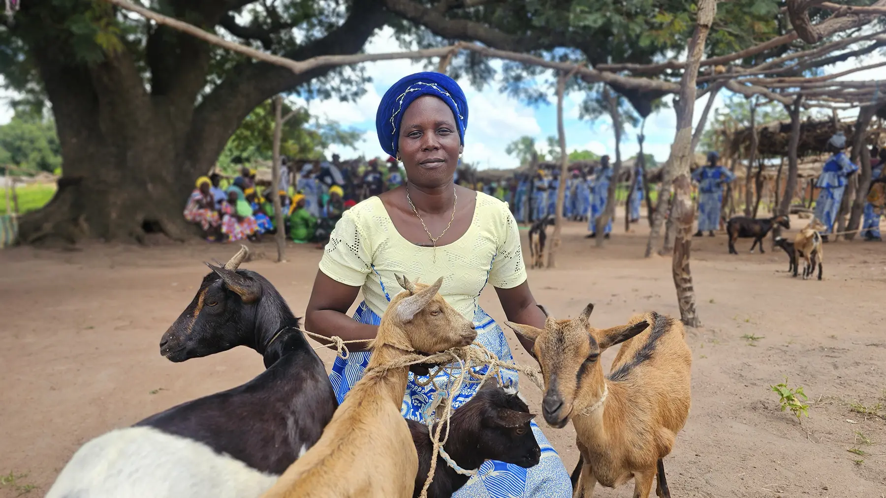 A woman kneels down with four goats