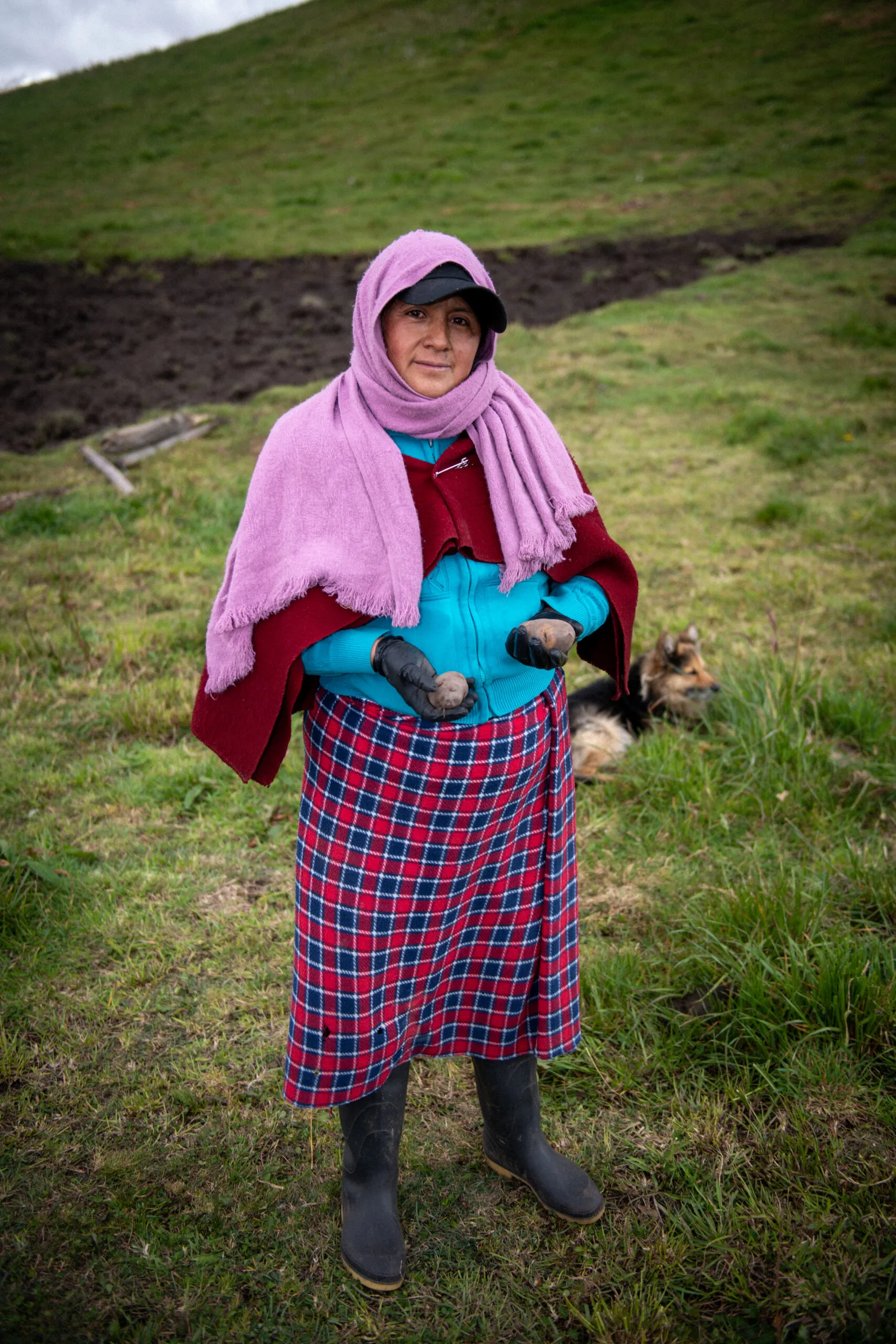 An indigenous woman farmer holds a native variety of potato in San Juan, Ecuador.