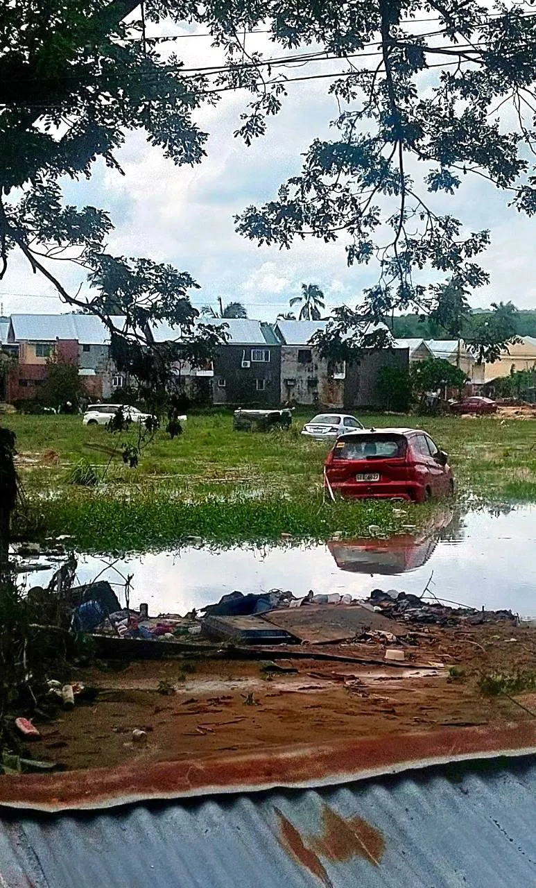 Impact of Typhoon Tino