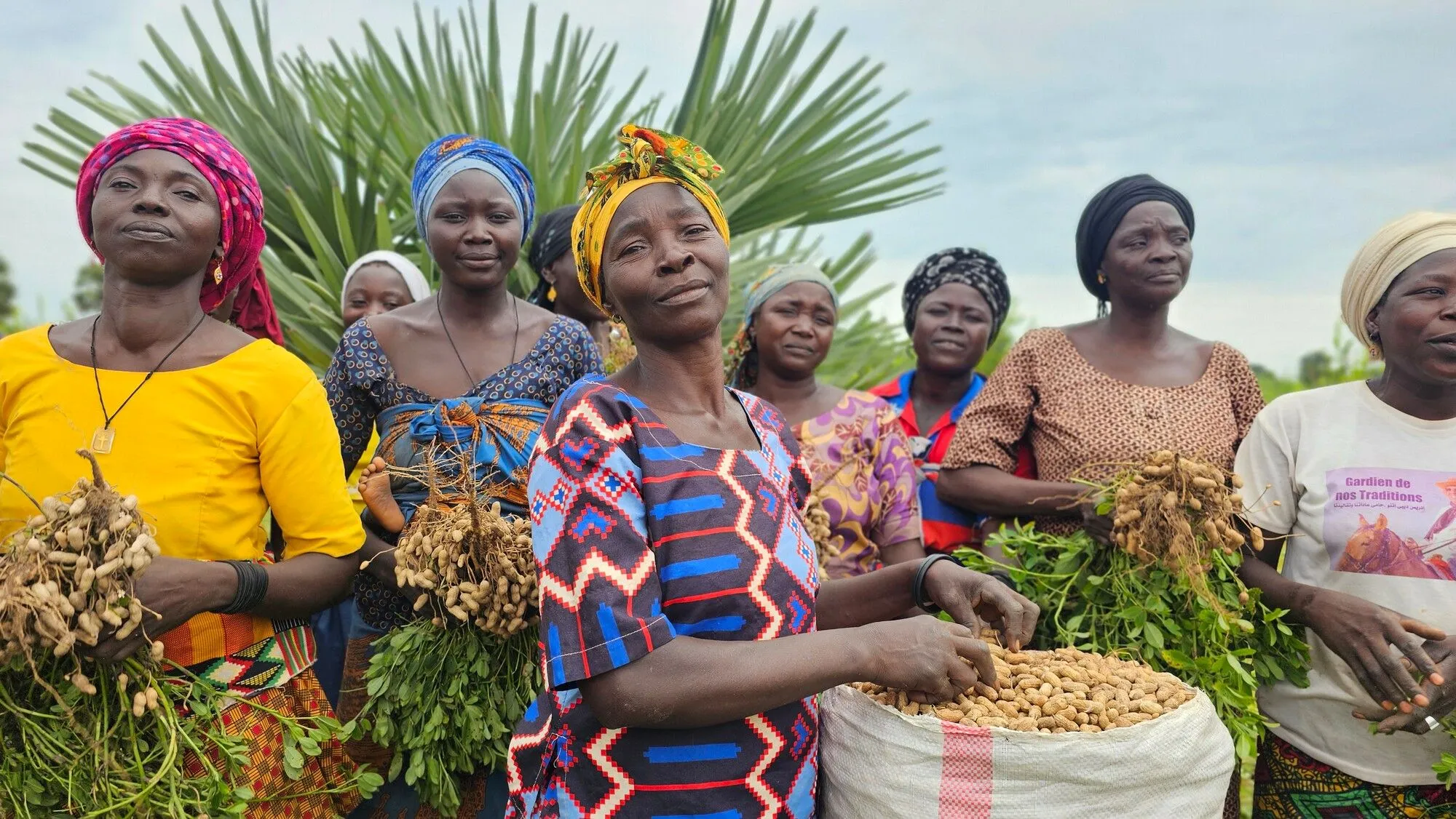 Women farmers in Chad working together in a peanut cooperative supported by a savings group.