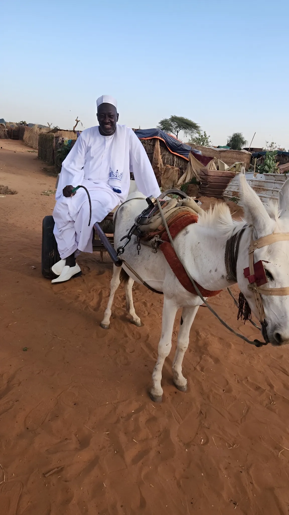 A man sits on a cart pulled by a donkey on a dirt road.