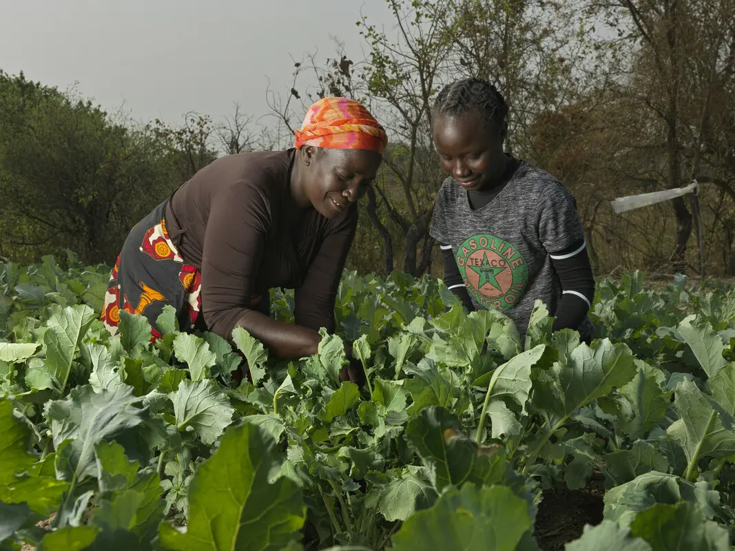 A young woman and an older woman bend down in a field of leafy plants to examine one of the plants.