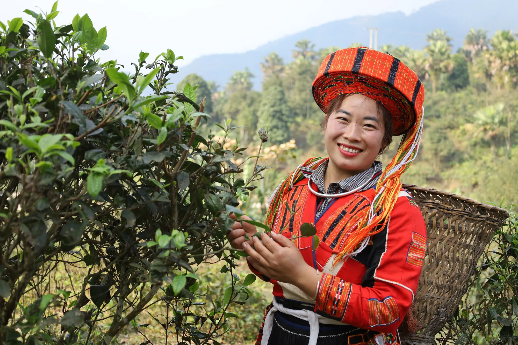 Female farmer in Vietnam