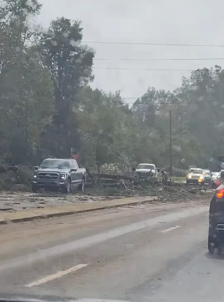 A tree knocked down from Hurricane Helene blocks cars in the road.