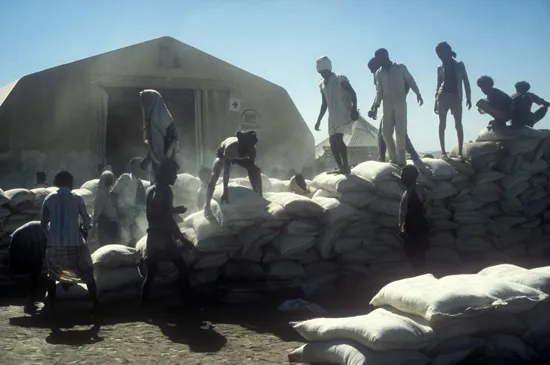 A group of Ethiopian volunteers stand on large piles of food rations to distribute them.