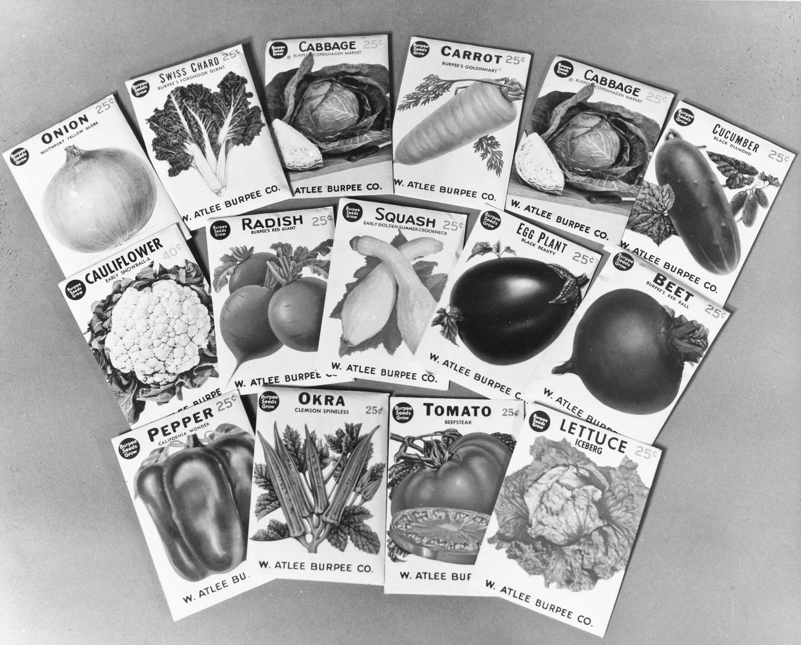 A historical image of several different vegetable seed packages. The packages are from a CARE PACKAGE to help start a garden.