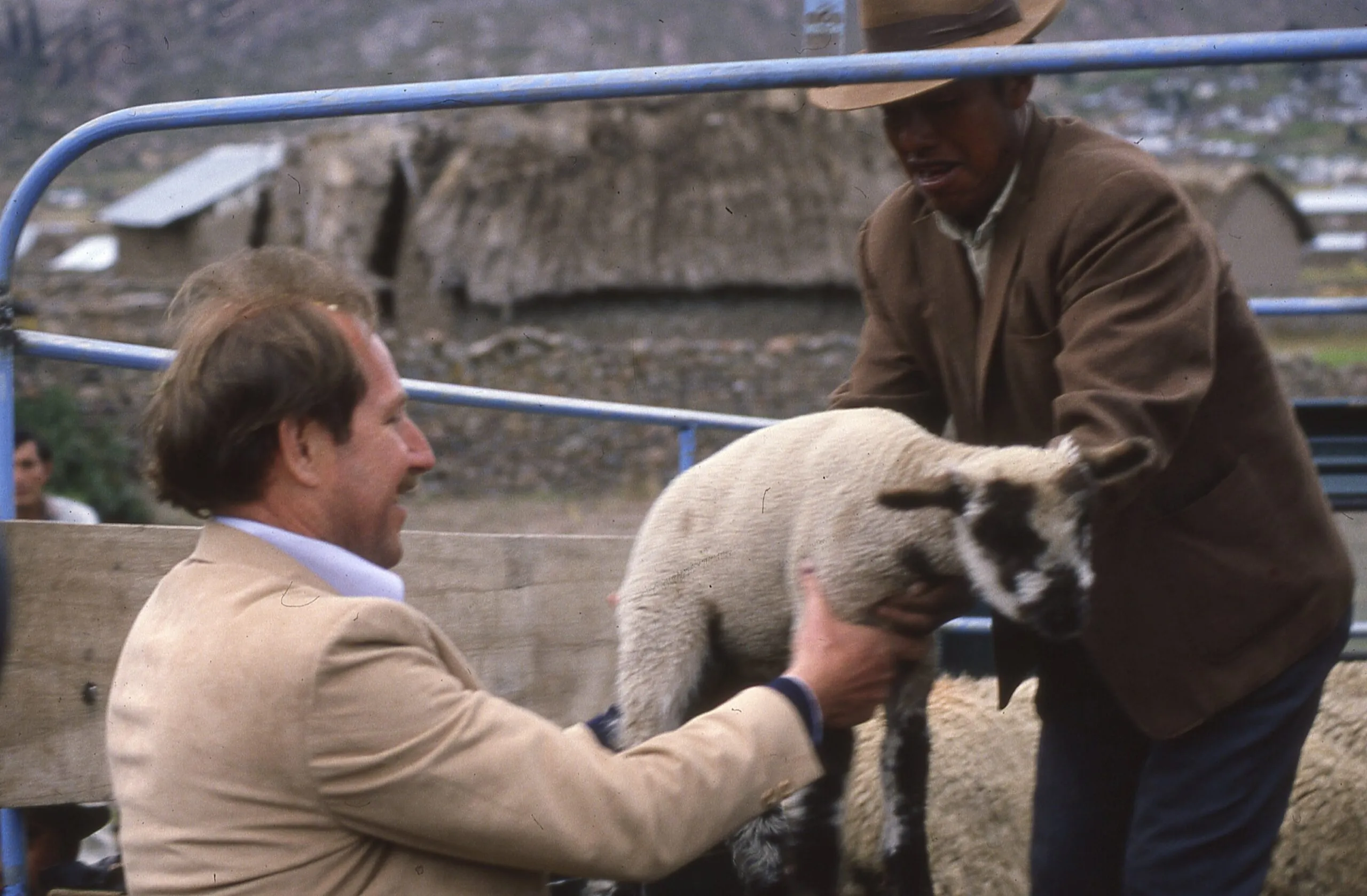 A man handing a sheep to a young man.
