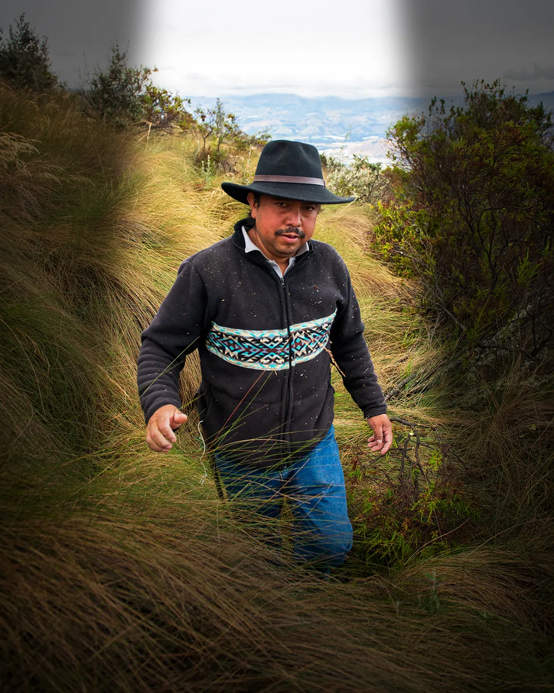 An Ecuadoran man walks through a mountainous field of tall grasses.