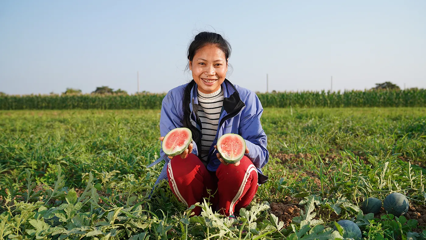A Cambodian woman kneels in a field and smiles while holding two halves of a small watermelon.