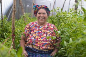 tomato farmer standing in front of tomato palnts