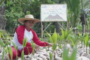 farmer kneeling in front of coconut seedlings