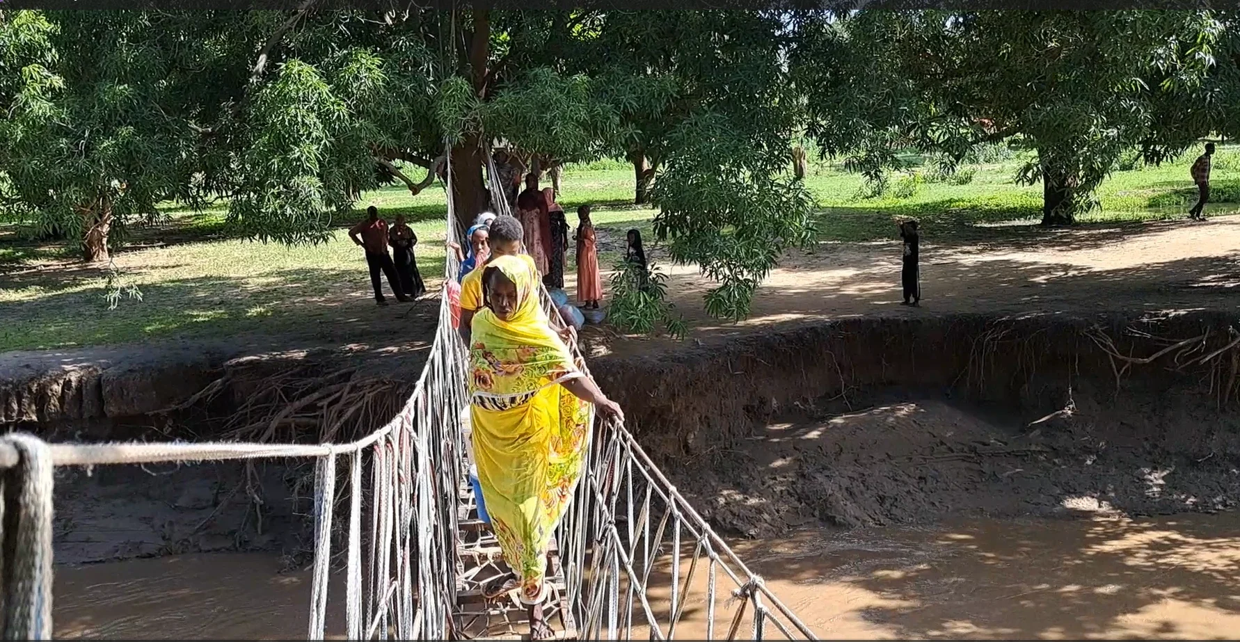 A woman in a bright yellow wrap carefully crosses a narrow, makeshift footbridge suspended over a murky river in Alabassiya, South Kordofan.