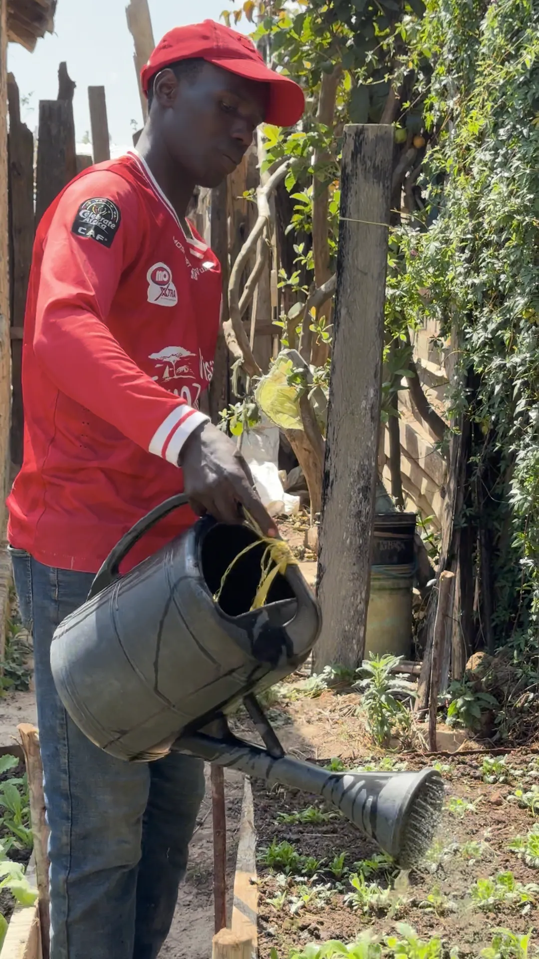 Man in a red hat and red shirt waters plants from a bucket.